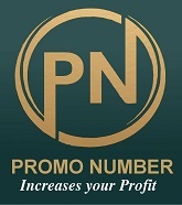 PromoNumber Logo